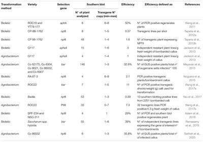 Genetic Transformation of Sugarcane, Current Status and Future Prospects
